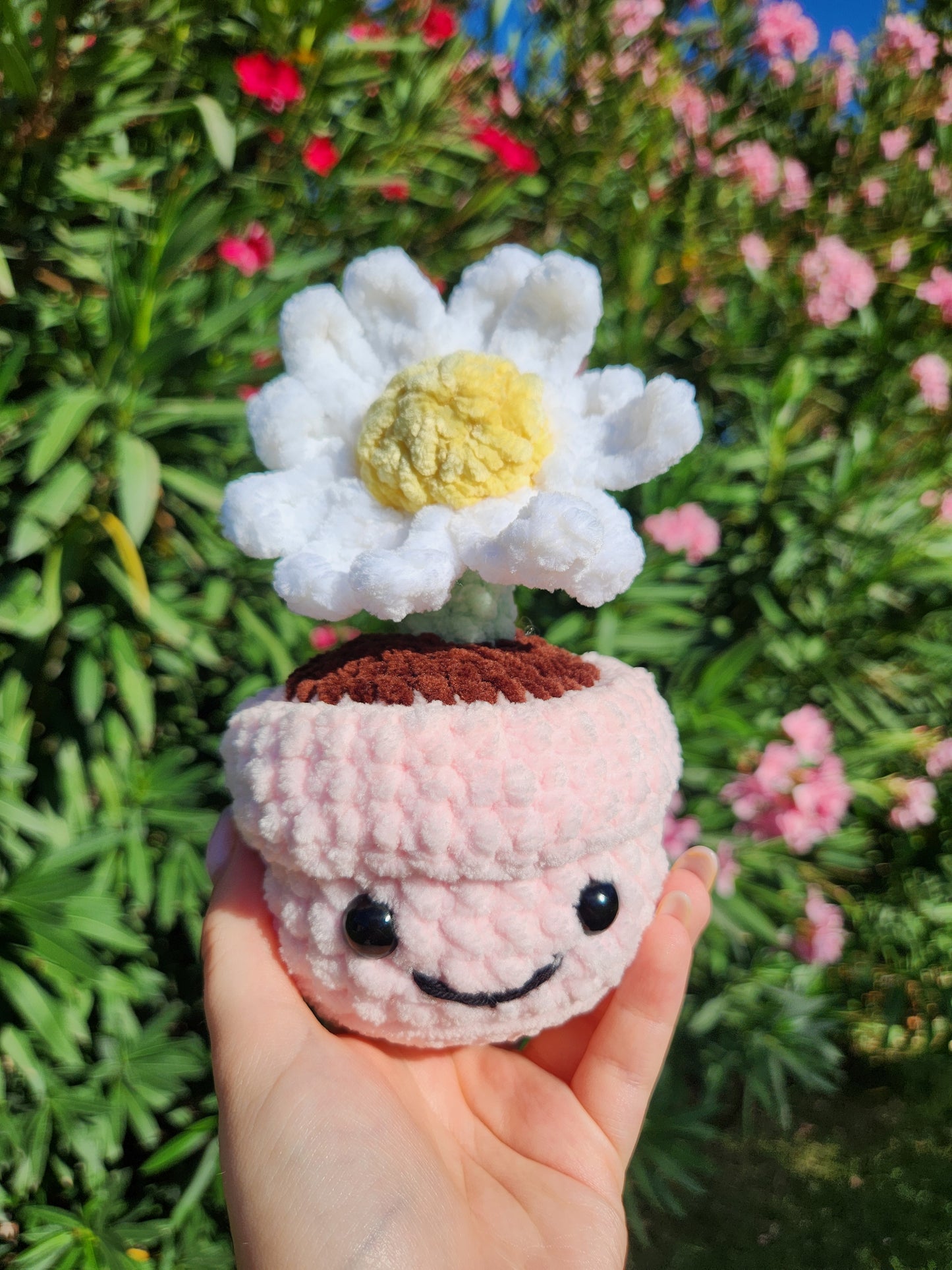 Fleur en pot