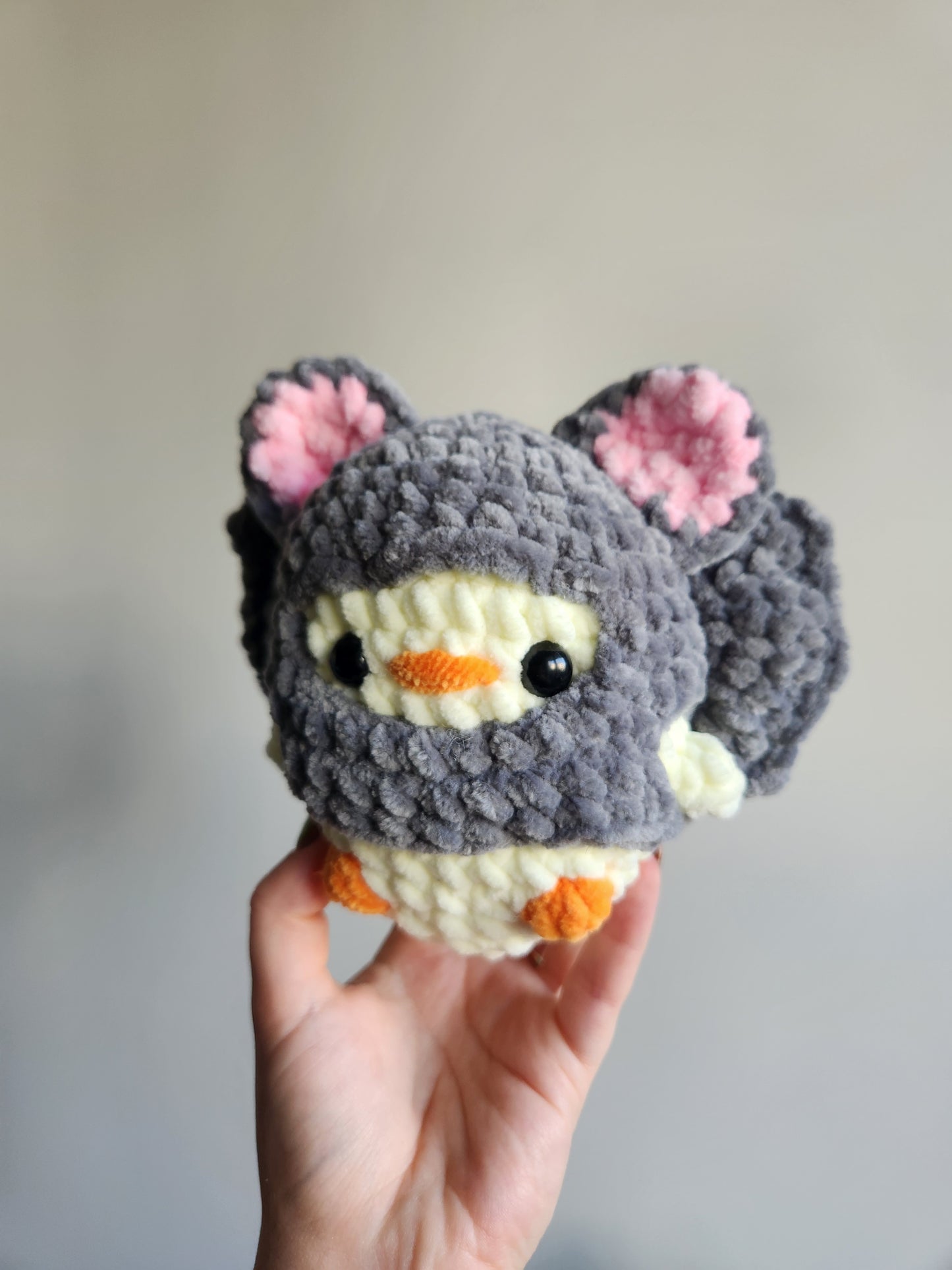 Poussin Chauve Souris