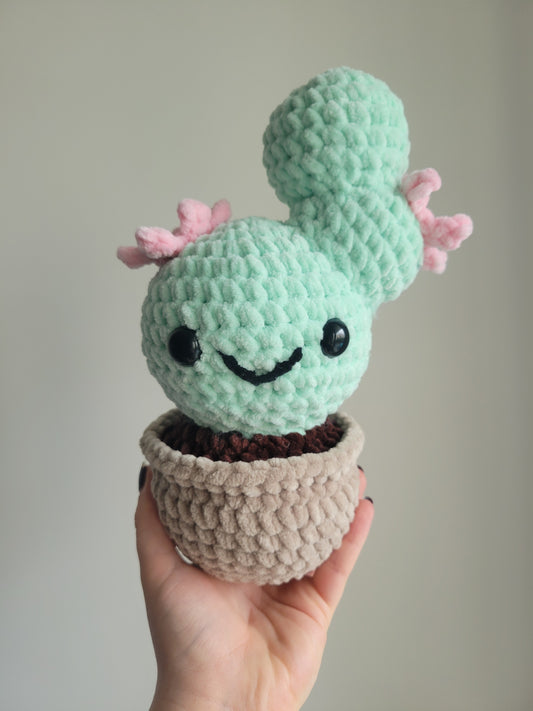 Peluche Cactus