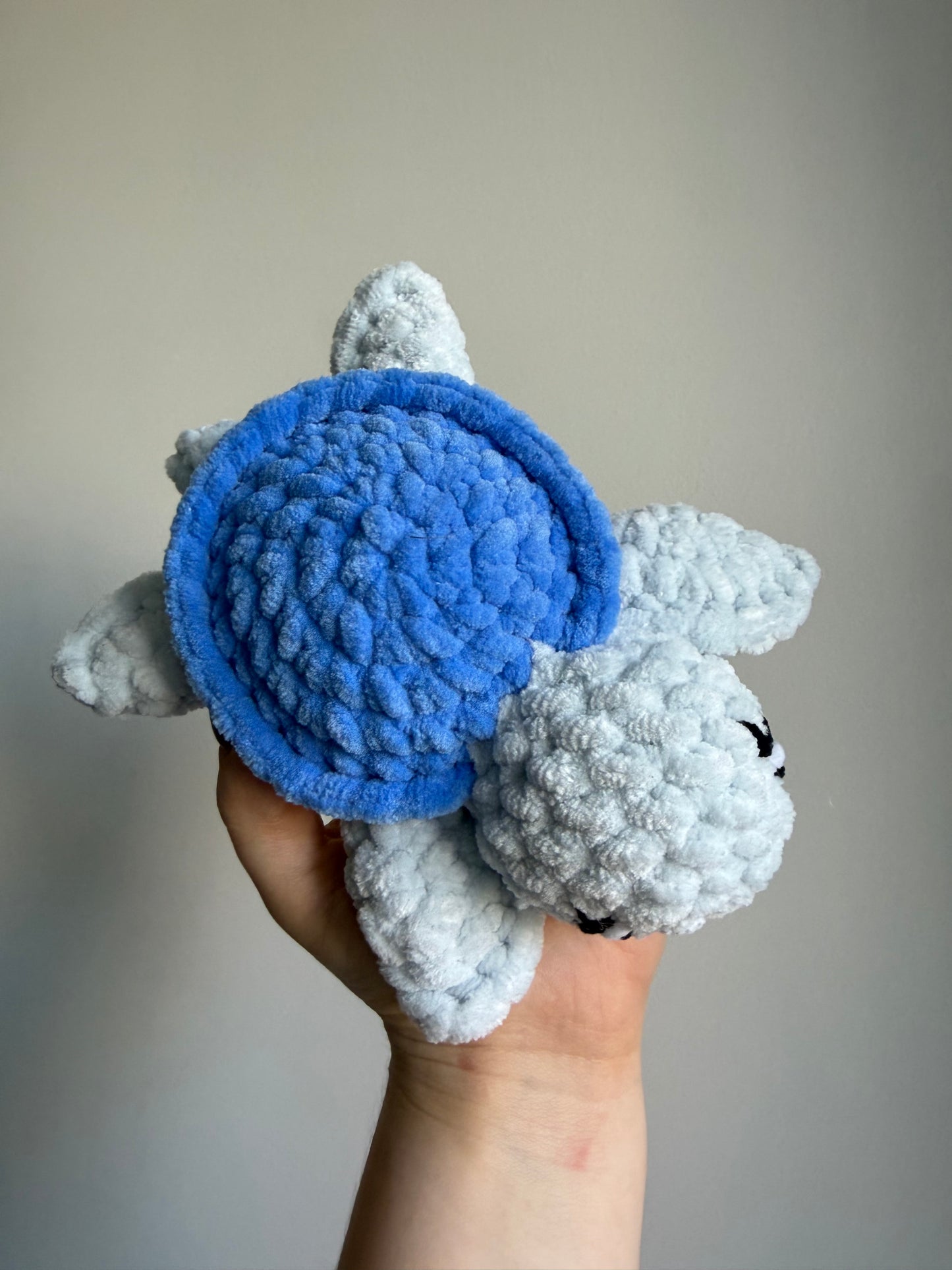 Petite tortue