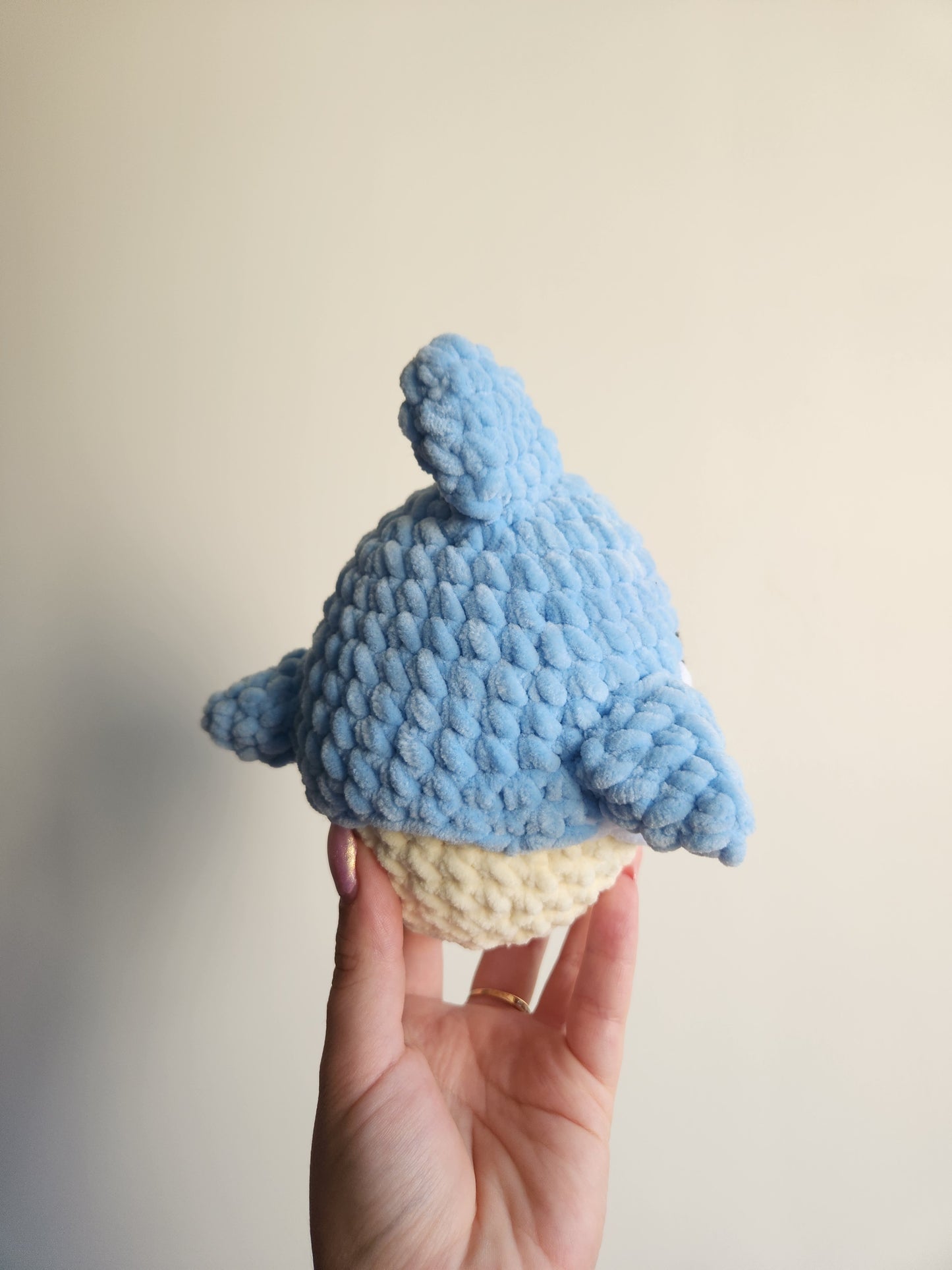 Poussin Requin